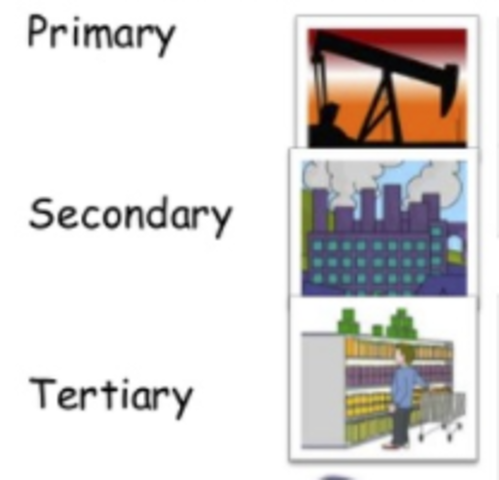 Impact of Industrialization