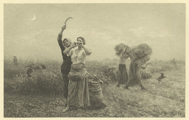 Beginning of the agricultural crisis