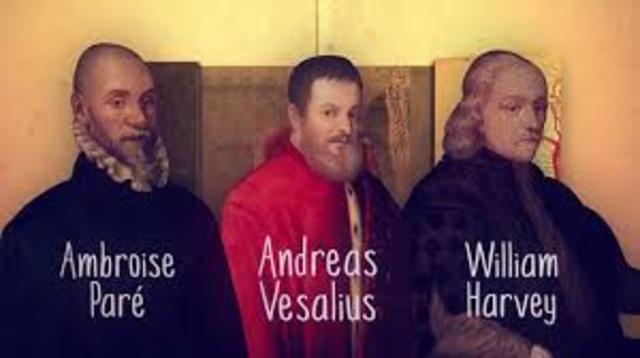 Andreas Vesalius and William Harvey