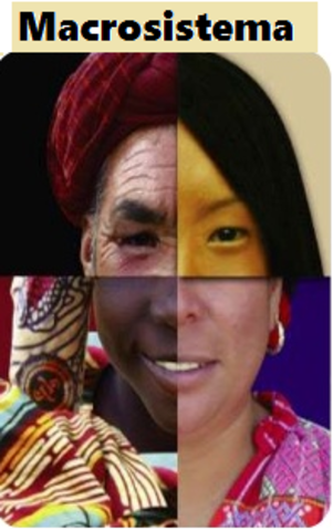 El Macrosistema