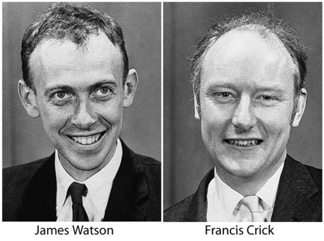J.Watson y F.Crick