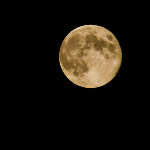 Probe lands on the moon