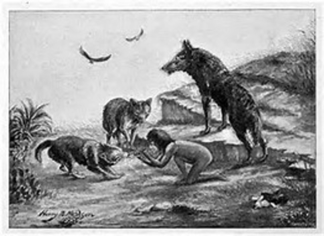 First Identification