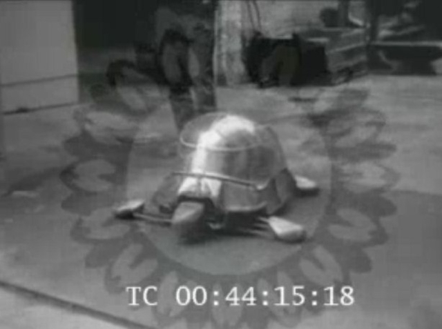 Tortue cybernétique