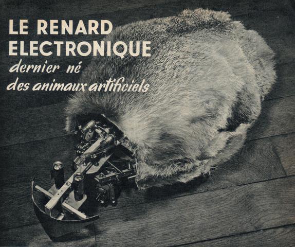 " Le Renard"