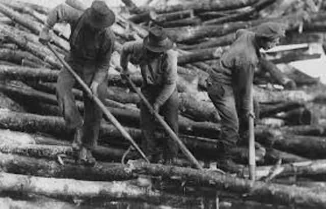 Timber trade took over the Fur trade