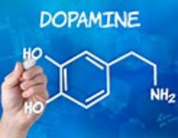 Etiology: Brain Chemicals