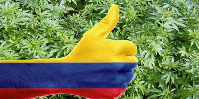 Comienzos del narcotráfico