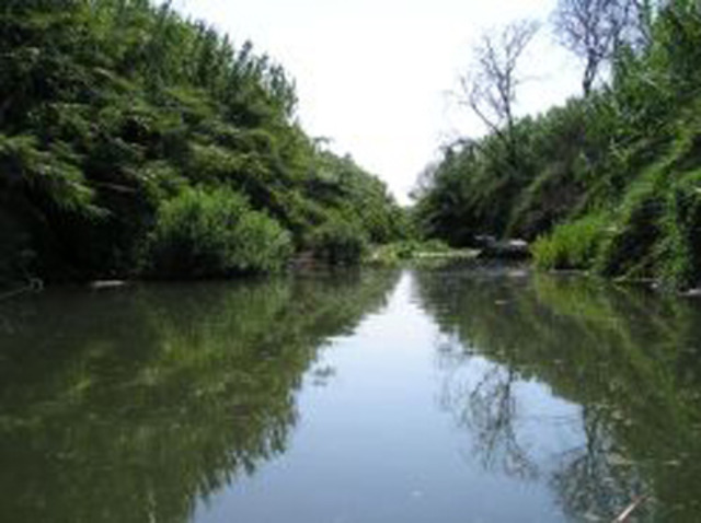 Carlemany divideix el imperi