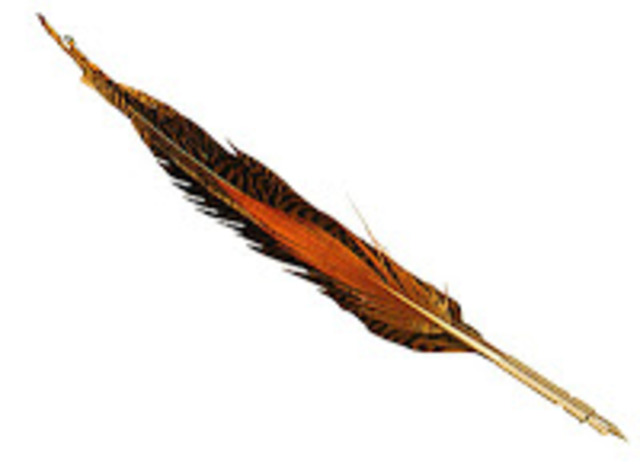 The quill pen