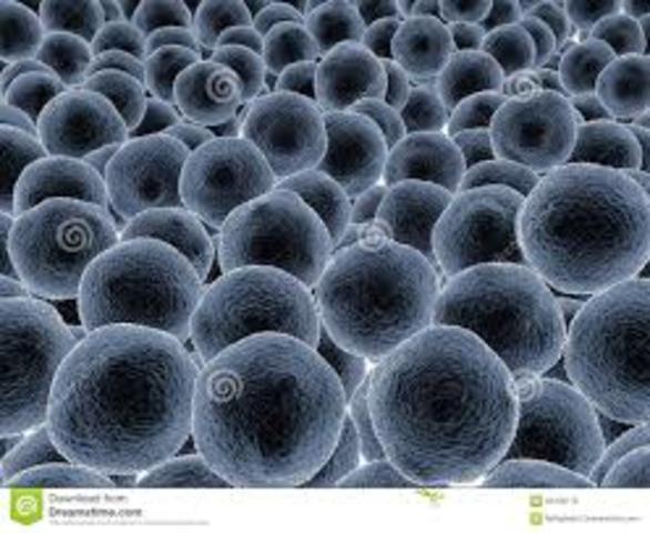 CÉLULAS BIOLÓGICAS.