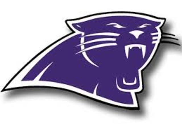 Save 500 dollars from this months paycheck