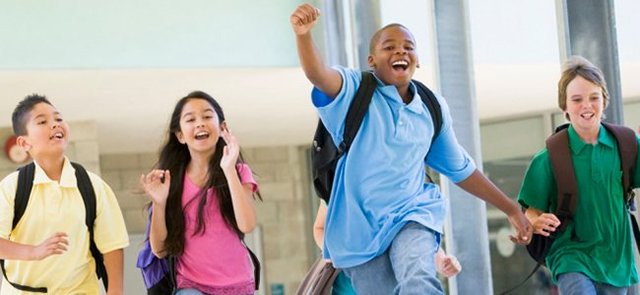 LOCE. Ley Orgánica de Calidad de la Educación