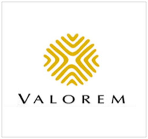 Invertir en otras empresas