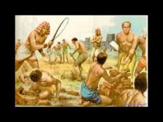 Gestión del talento humano A.C