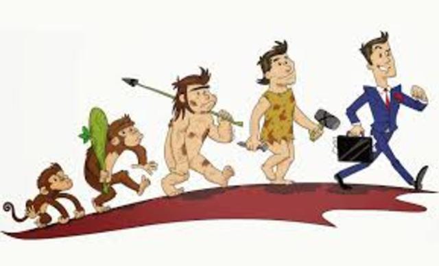 Gestión de talento humano