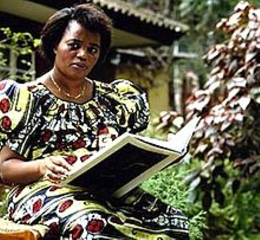 Retirada de cascos azules