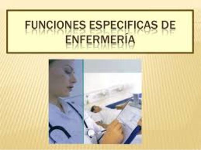LAS FUNCIONES DE ENFERMERÍA SE CLASIFICARON EN DOS NIVELES: