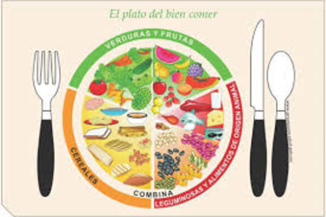 Diseño del Plan Nacional de Alimentación y Nutrición