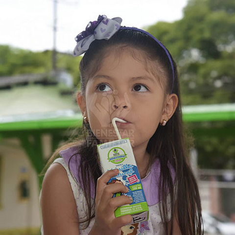 PLAN NACIONAL DE ALIMENTACIÓN Y NUTRICIÓN