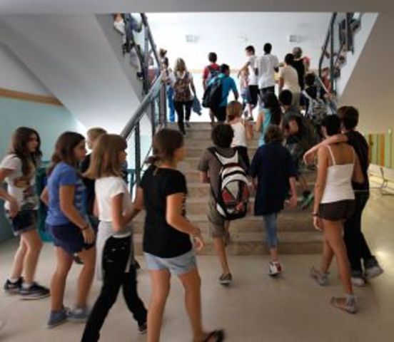 Creación del programa PAFI