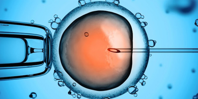 Fertilización in Vitro