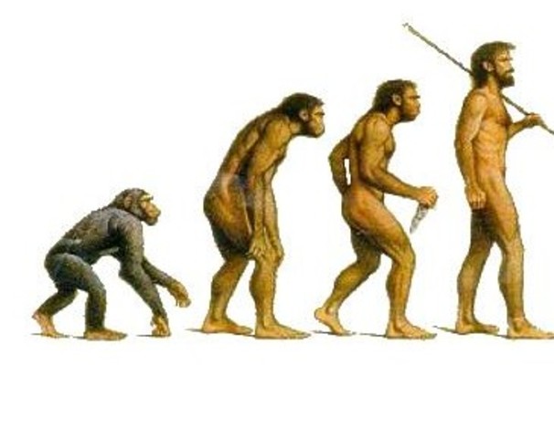 Publica la descendencia humana y la selección sexual