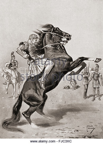 Bucephalus dies