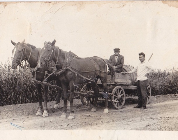 Появление колхоза им.Калинина.