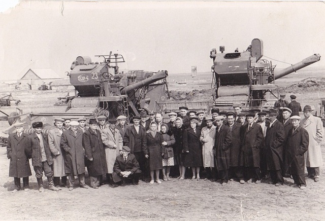 Первые посевы риса.