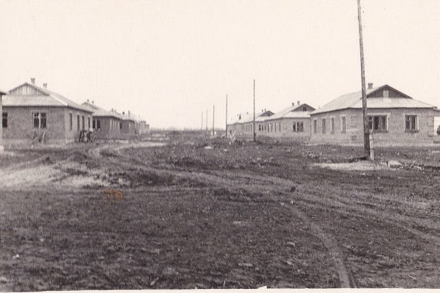 Образование рисосовхоза "Цимлянский".