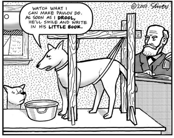 Teoría conductista (Skinner)