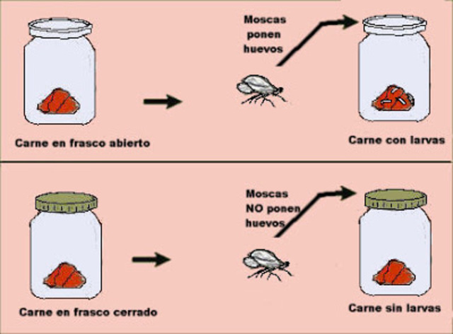 Spallanzani: Refutación de la generación espontanea.