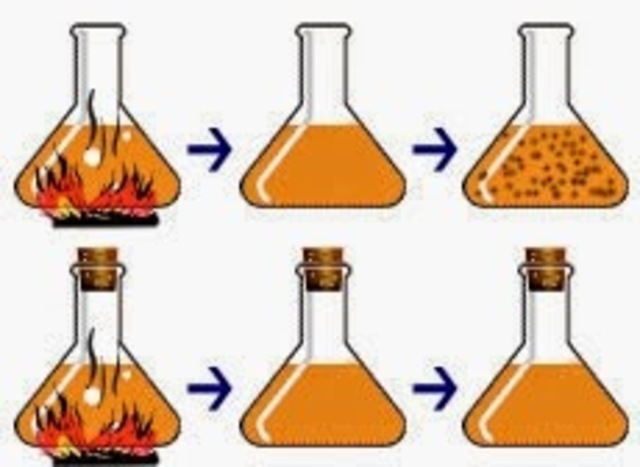 Pasteur: Desmiente teoría de generación espontanea