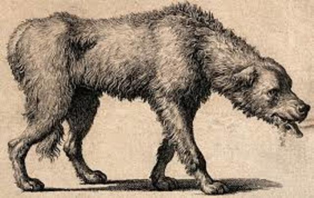 PASTEUR Y EL PERRO RABIOSO: Practica sus teorías con microbios que producían calera en las gallinas