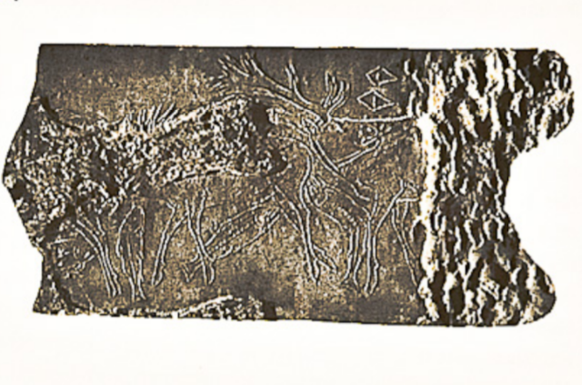 Grabado en cuerno 15000 A.C