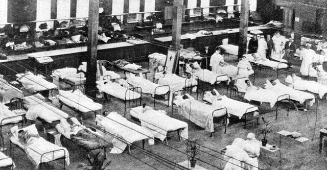 Influenza pandemic