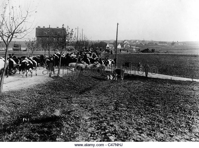 Russia invaded East  Prussia