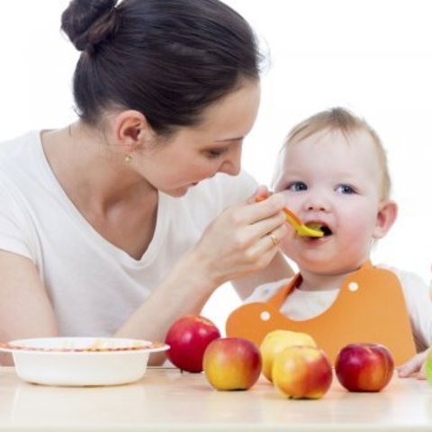 Creación del Programa Fa mi