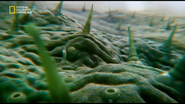 Episodio 6 (Átomos violentos)