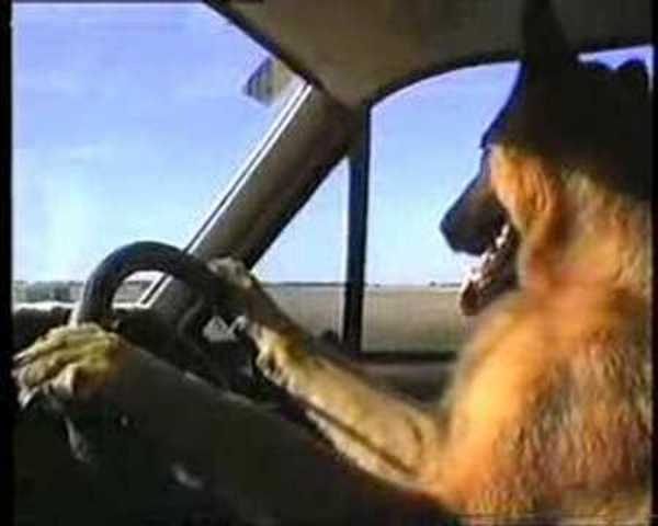 The First Time I Drove