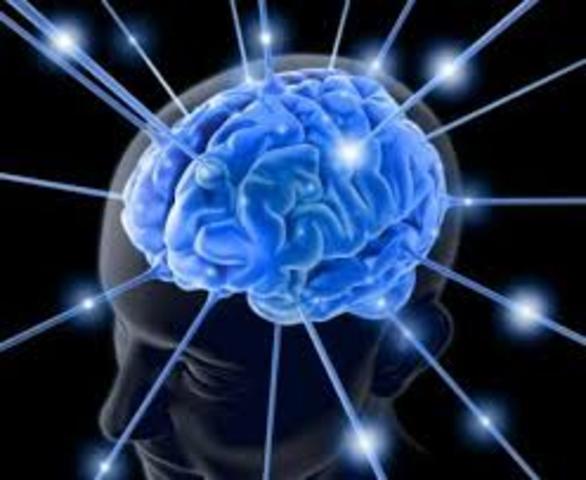 Neuropsicológia de los 70s