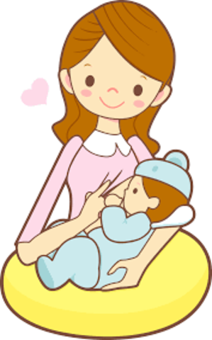 Creación del Sistema General de Seguridad Social en Salud, Ley 100