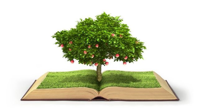 UE libro verde sobre RSE