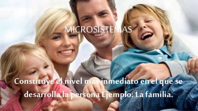microsistema