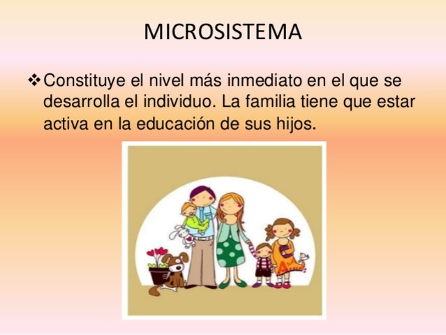 Micro sistema