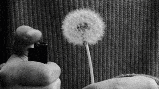 Inicio de la Psiquiatría