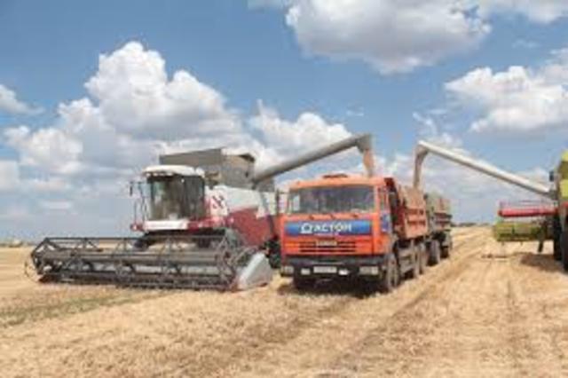 На территории хутора работает ООО АСТОН-АГРО.