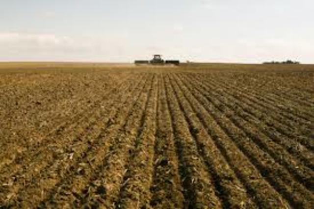 Beginning of the agricultural crisis; failing wheat production
