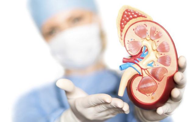 Primer Trasplante renal joven en coma profundo por uremia